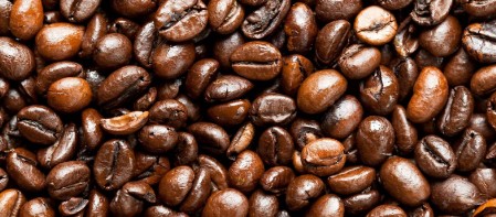 Café grain de café