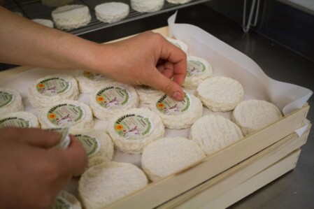 Pélardons les demoiselles Pélardons les Demoiselles